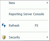 Kontextmenü für Reporting Server