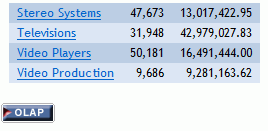 OLAP-Report