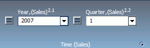 Gruppe Zeit Sales mit den Steuerungen Jahr Sales und Quartal Sales