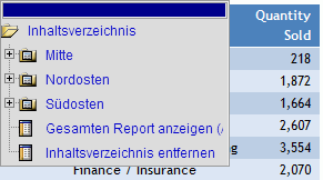 Report mit Inhaltsverzeichnis vor der Reportausgabe