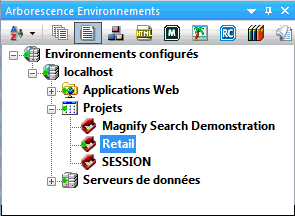 Paneau Arborescence Environnements avec projet Distribution