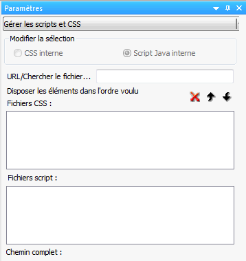section Gestion CSS et Scripts