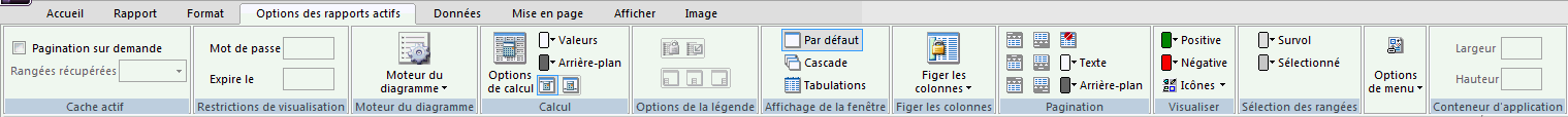 Onglet Options du rapport actif