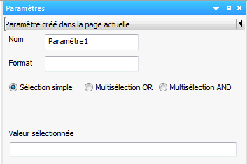 Panneau Paramètres pour un paramètre créé dans la page HTML