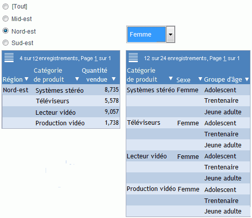 Deux Rapports filtrés sur deux champs distincts