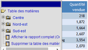 Rapport avec Table des matières en face de la sortie rapport