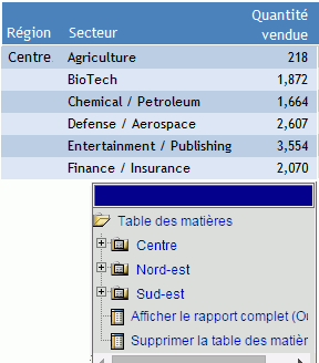 Rapport avec bouton Table des matières