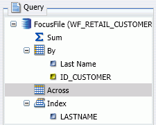 Indici FOCUS sul pannello della Query