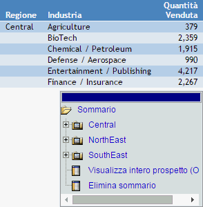 Prospetto con il pulsante Sommario