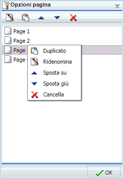 Finestra di dialogo Opzioni Pagina