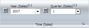 [Time Sales] グループの [Year Sales] および [Quarter Sales] コントロール