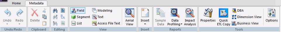 Metadata tab