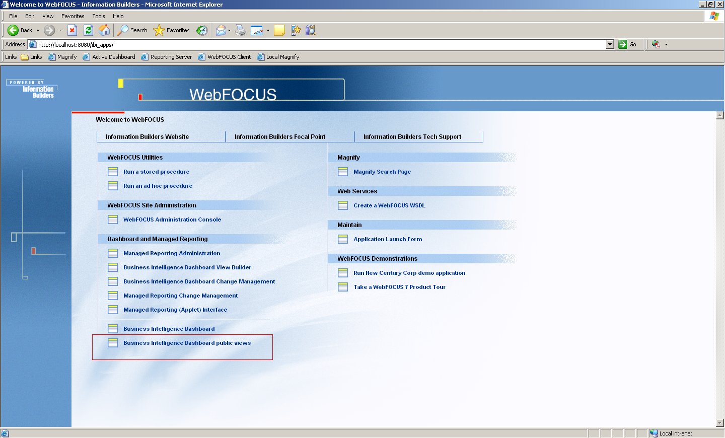 WebFOCUS window