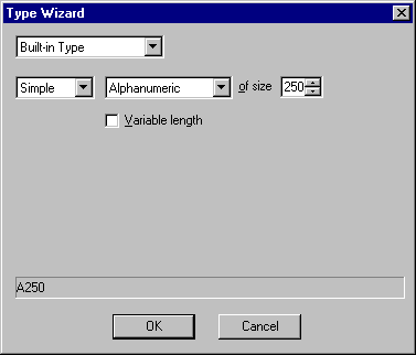 Type Wizard dialog box